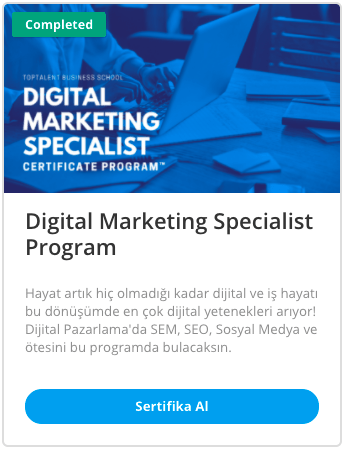 Digital marketing Specialist Program