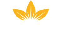 British American Tobacco
Hızlı Tüketim