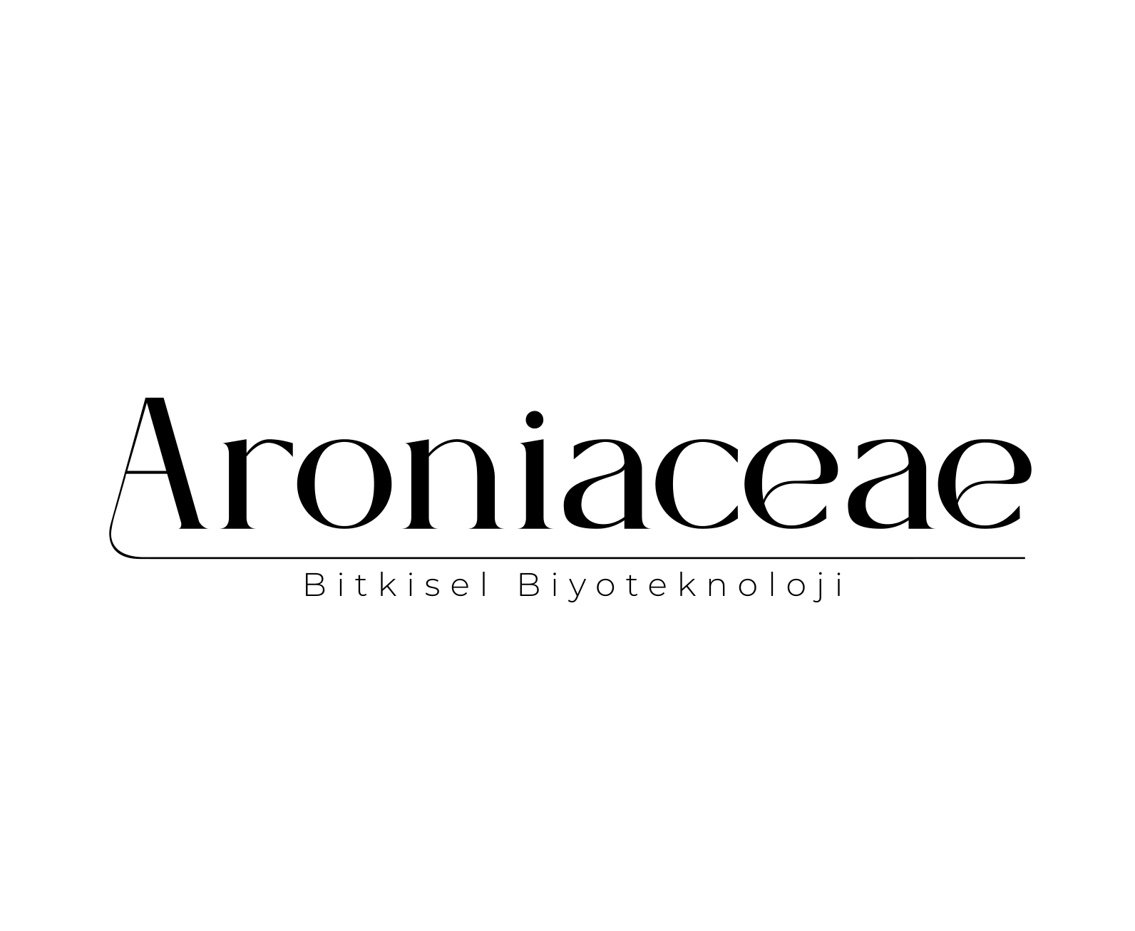 Aroniaceae