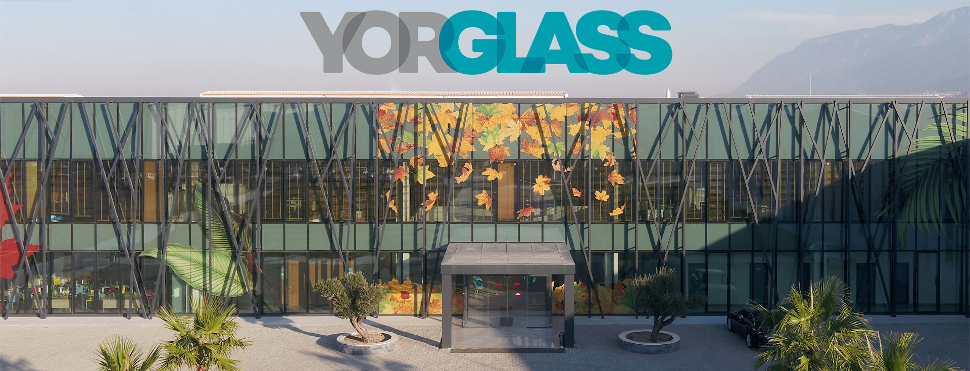Yorglass