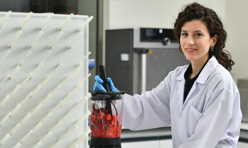 Application Lab Intern