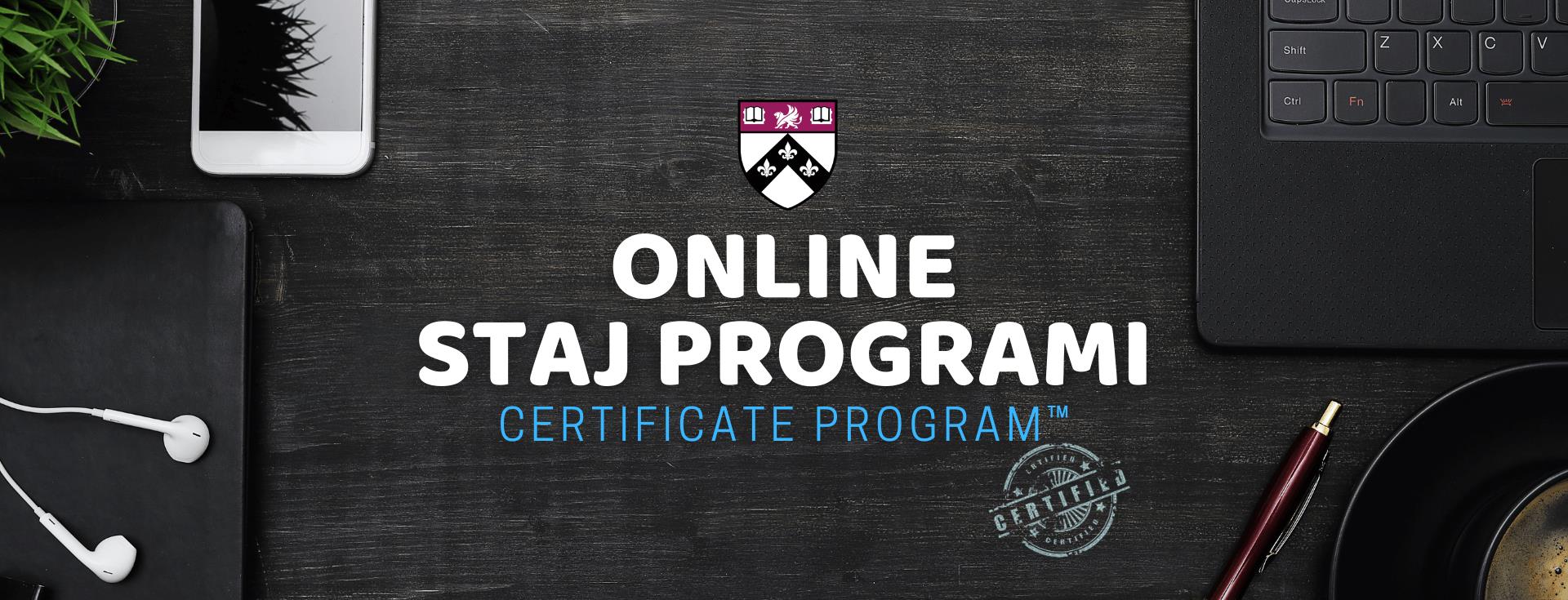 Online Staj Programı