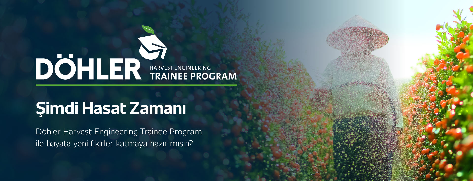 DÖHLER HARVEST ENGINEERING TRAINEE PROGRAM