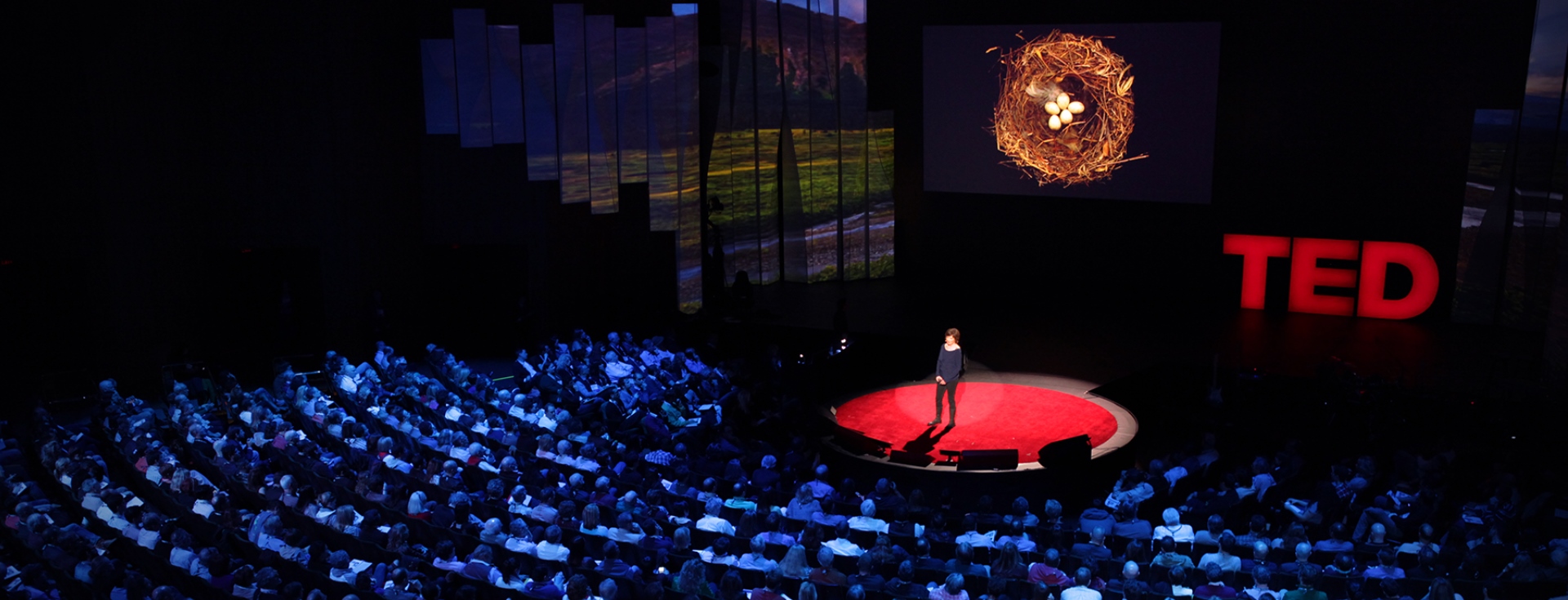 8 TED Konuşmacısından Daha Mutlu ve Umutlu Bir Hayat İçin Tavsiyeler