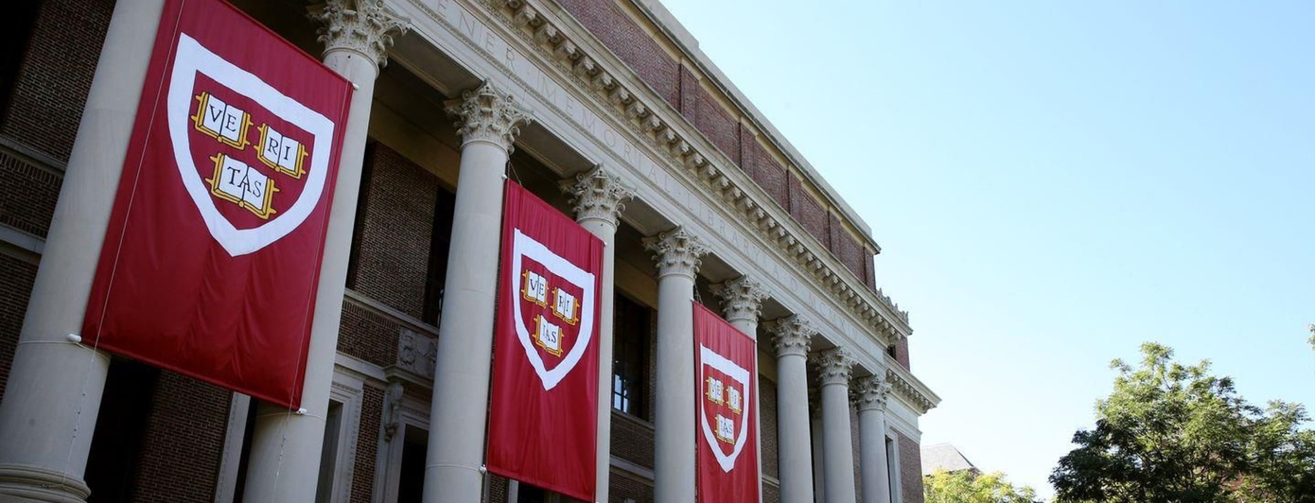Harvardlı Bir Öğrenciye Göre, Mükemmel Mülakatın Sırrı