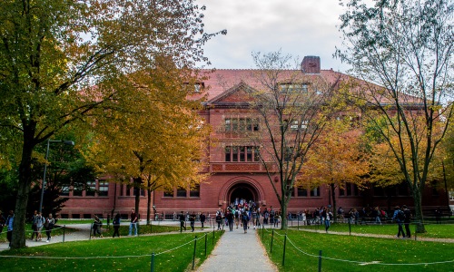 Harvardlı Psikoloğa Göre Hedeflerinize Ulaşamamanızın Nedeni