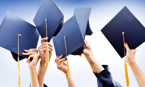 Yeni Mezunlar Neden İş Bulamıyor?