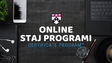 Online Staj Programı