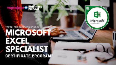 Microsoft Excel Specialist