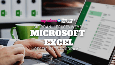 Sıfırdan İleri Seviyeye Microsoft Excel