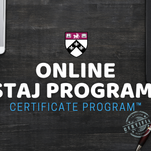 Online Staj Programı