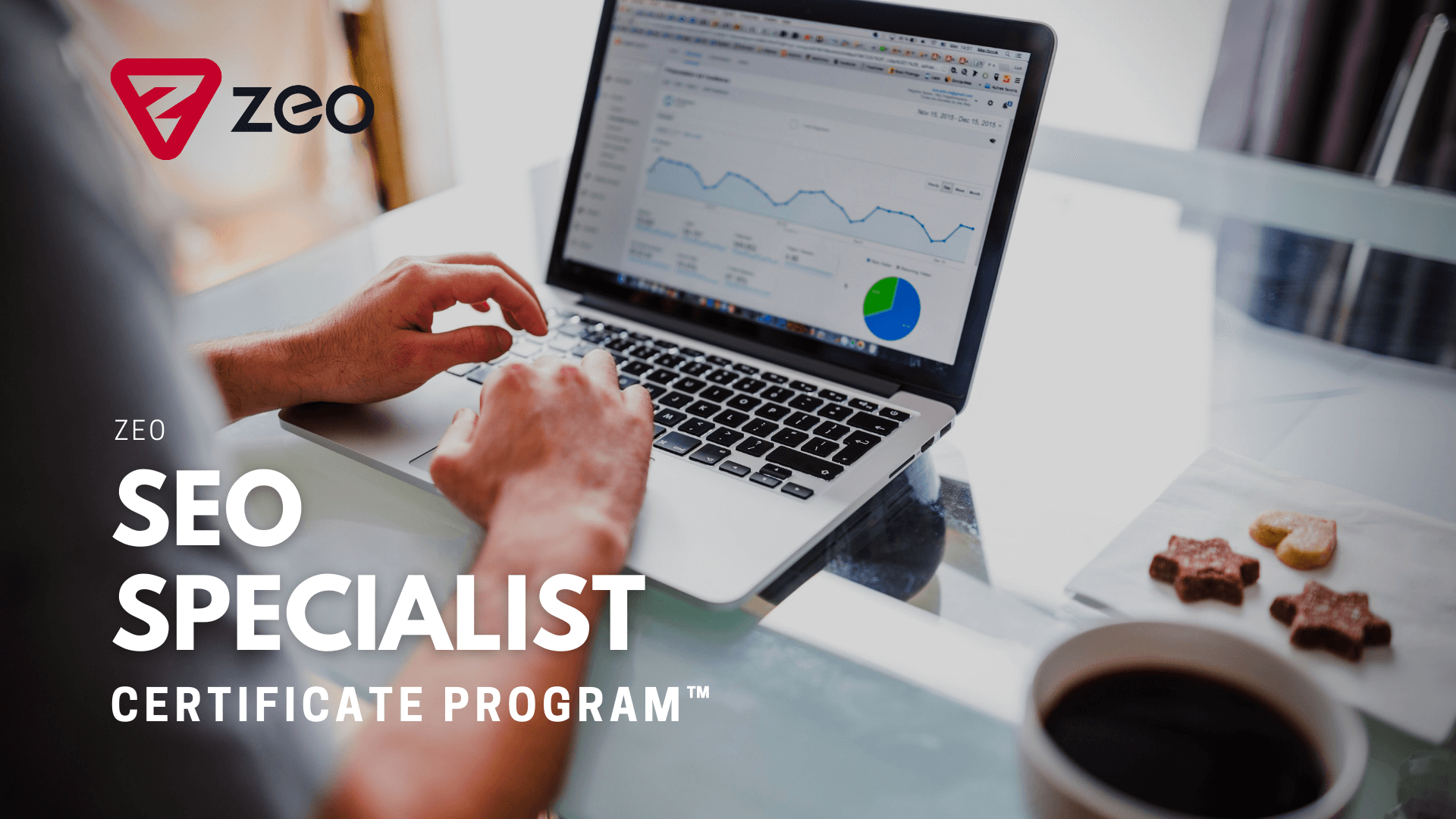 Zeo SEO Specialist Program