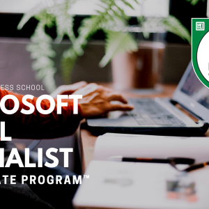 Microsoft Excel Specialist
