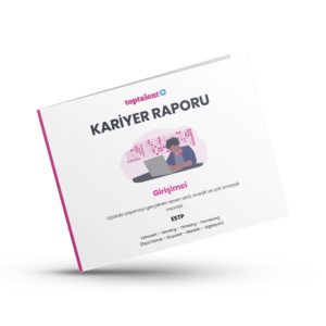 Girişimci Kariyer Raporu