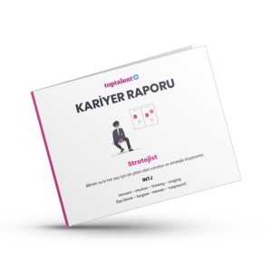 Stratejist Kariyer Raporu