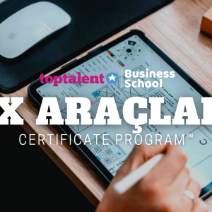 UX Araçları Programı